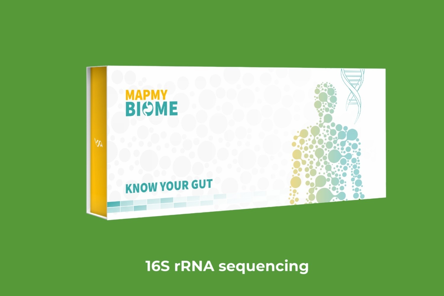 Best Gut Microbiome Test in India